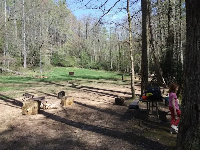 Shinny Creek Backcountry Campground Picture 4