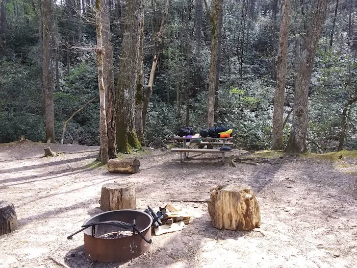 Shinny Creek Backcountry Campground Picture 6