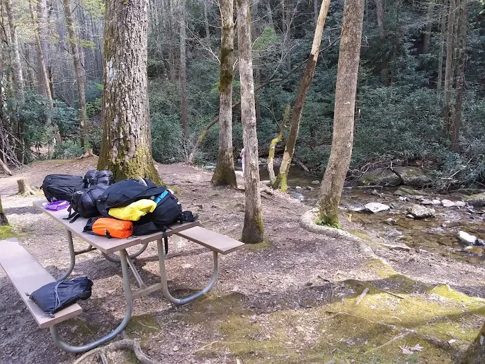 Shinny Creek Backcountry Campground Picture 8