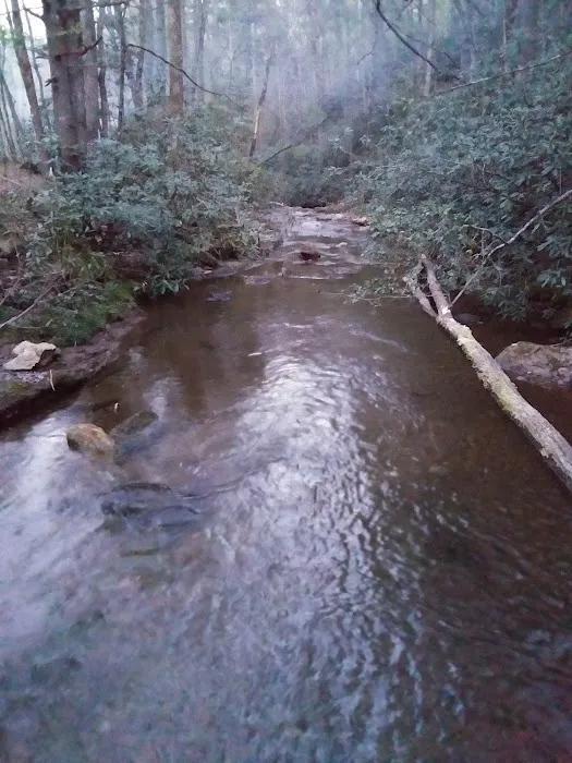 Shinny Creek Backcountry Campground Picture 10