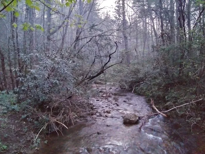 Shinny Creek Backcountry Campground Picture 9