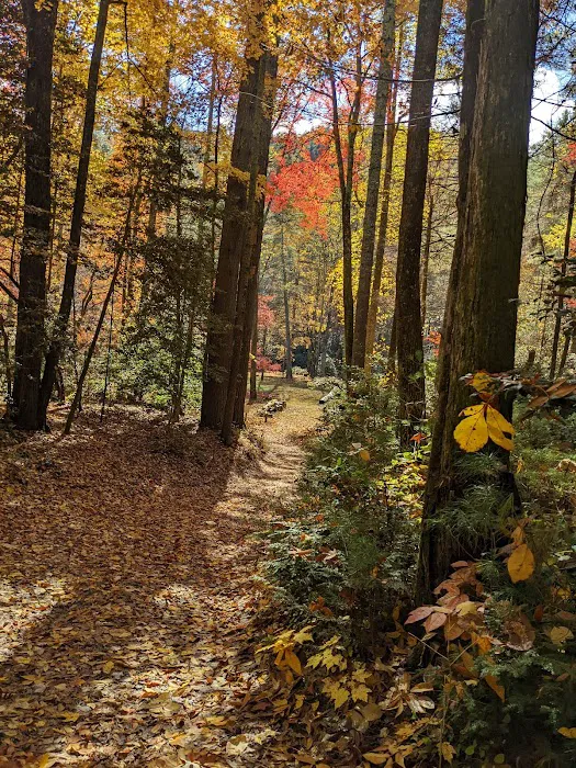 Upper Falls Backcountry Campground Picture 6