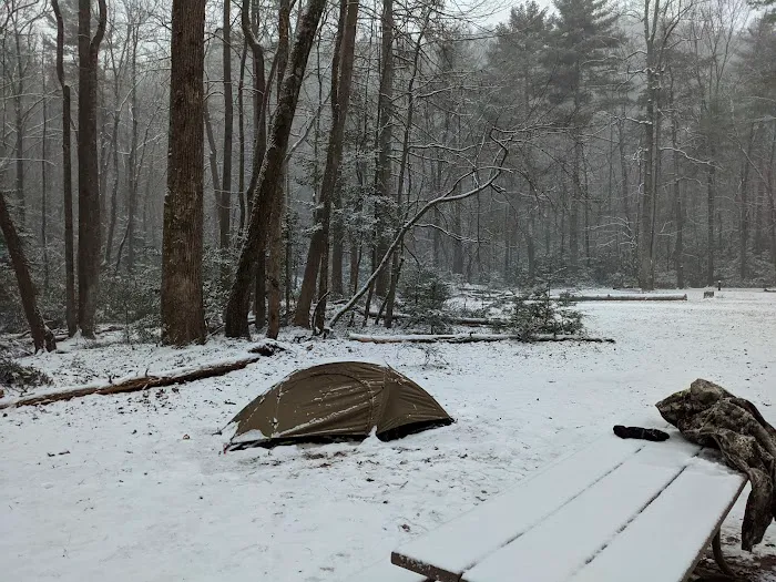 Upper Falls Backcountry Campground Picture 7