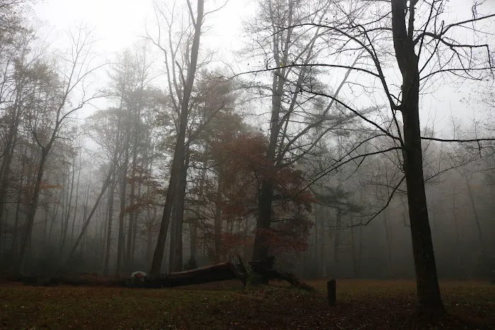 Upper Falls Backcountry Campground Picture 10