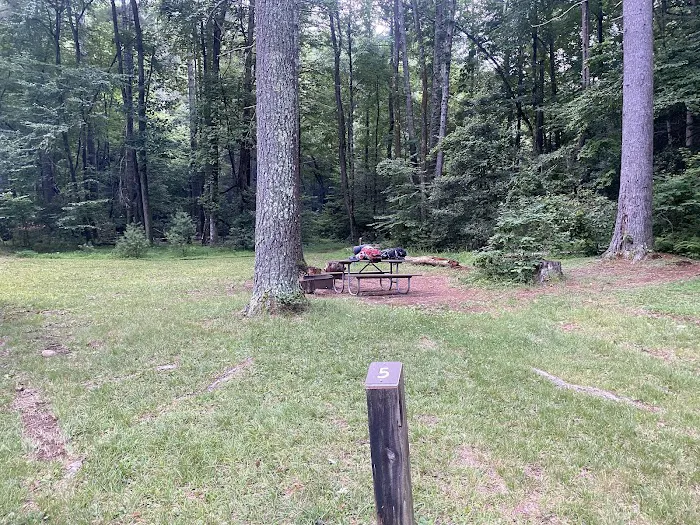 Upper Falls Backcountry Campground Picture 8