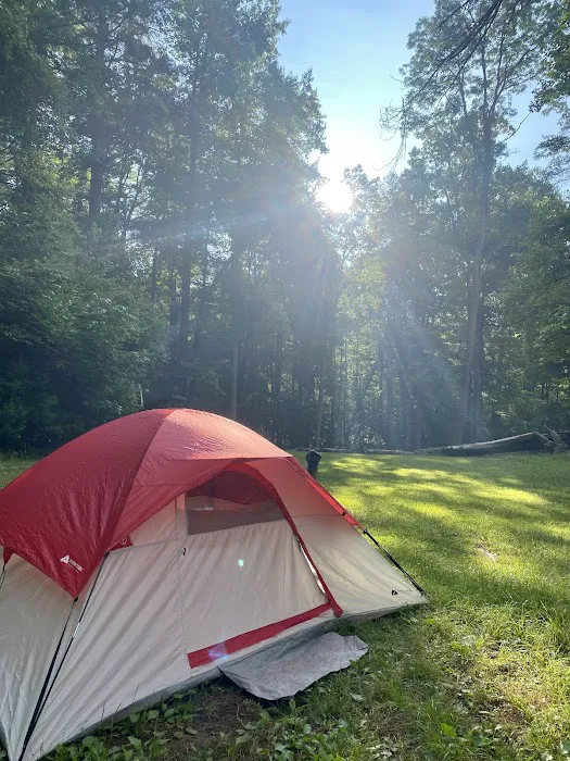 Upper Falls Backcountry Campground Picture 1