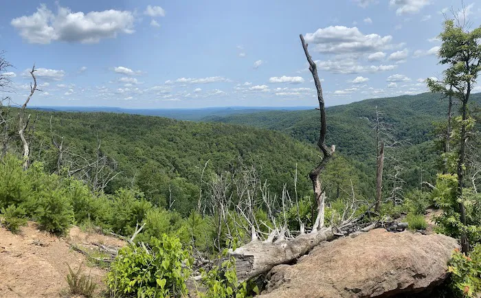 Upper Falls Backcountry Campground Picture 4