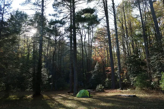 Upper Falls Backcountry Campground Picture 9
