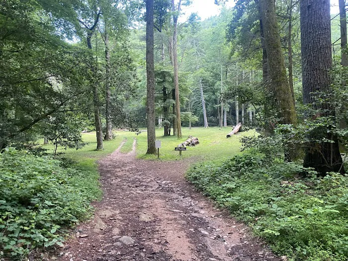 Upper Falls Backcountry Campground Picture 2