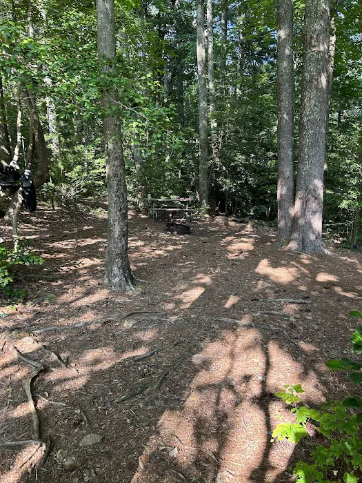 Jacob Branch Backcountry Campground Picture 3