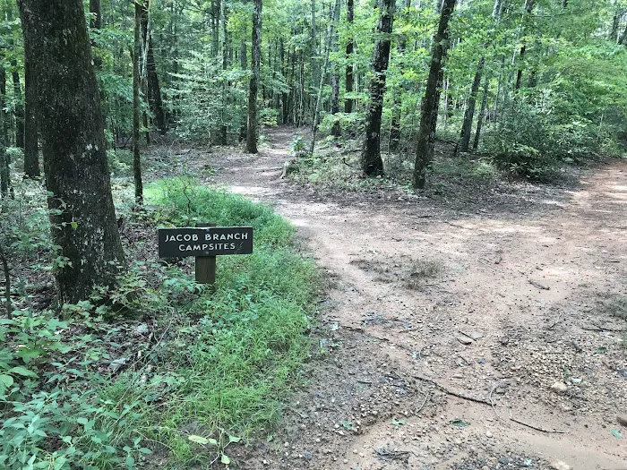 Jacob Branch Backcountry Campground Picture 2