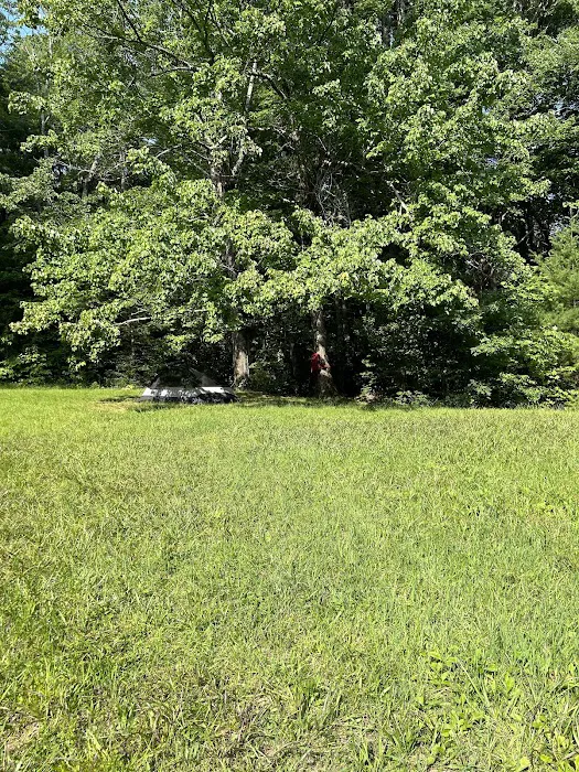 Jacob Branch Backcountry Campground Picture 7