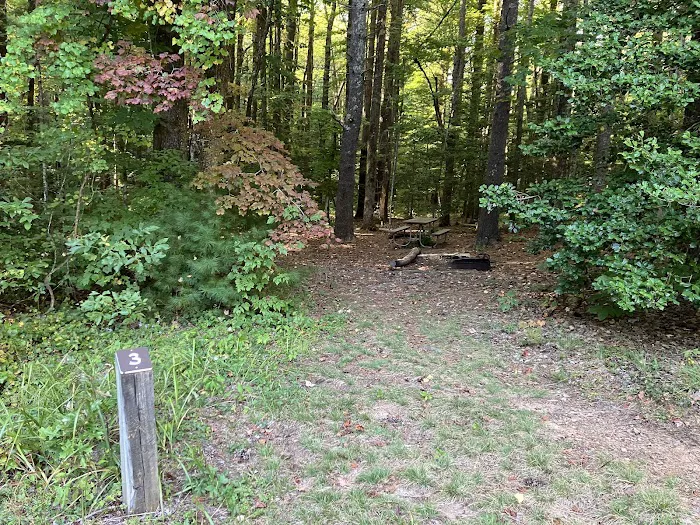 Jacob Branch Backcountry Campground Picture 5