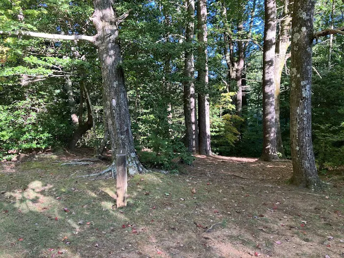 Jacob Branch Backcountry Campground Picture 6