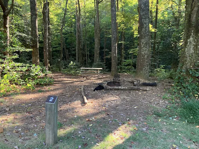 Jacob Branch Backcountry Campground Picture 1