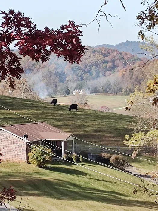 Wolf Lair Campground Picture 9