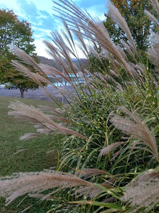 Washington County Park Picture 4