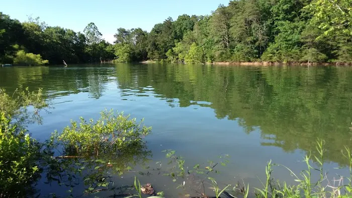 Cochran's Lakeview Campground Picture 2