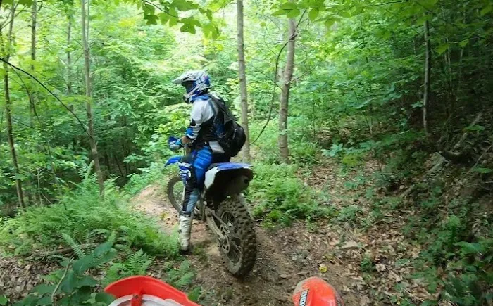 Hippie Trails Campground Picture 5