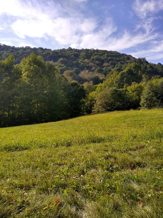 Blue Bear Mountain Picture 10