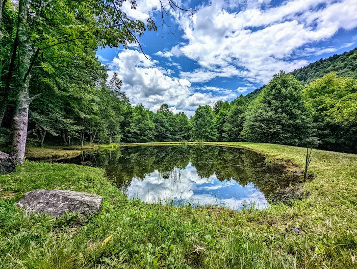 Blue Bear Mountain Picture 8