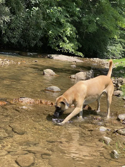 Two Creeks Campground and RV Park Picture 5