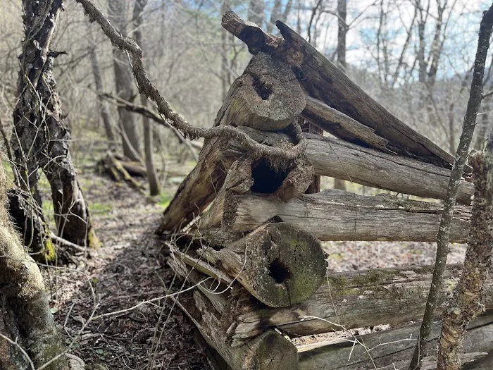 Two Creeks Campground and RV Park Picture 7