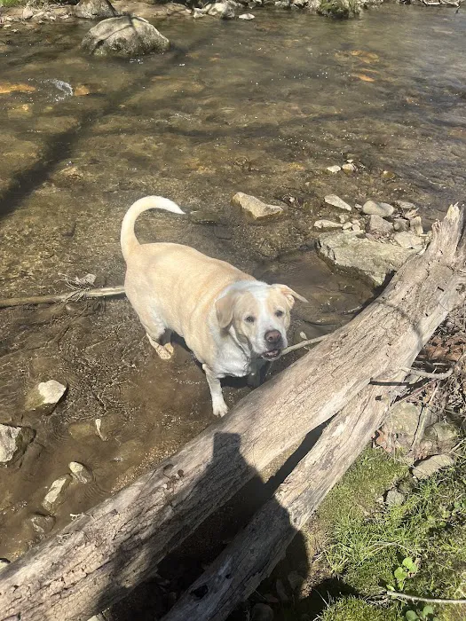 Two Creeks Campground and RV Park Picture 8