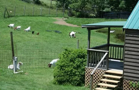 Boone KOA Holiday Picture 6