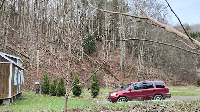 Drake's Creek Campground near Boone Picture 3