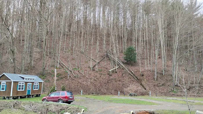 Drake's Creek Campground near Boone Picture 1