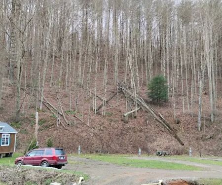 Drake's Creek Campground near Boone
