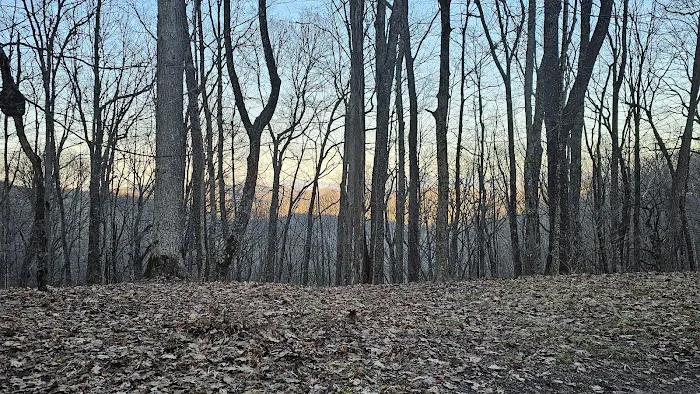 Abingdon Gap Shelter, Appalachian Trail Picture 6