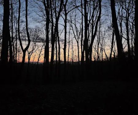 Abingdon Gap Shelter, Appalachian Trail