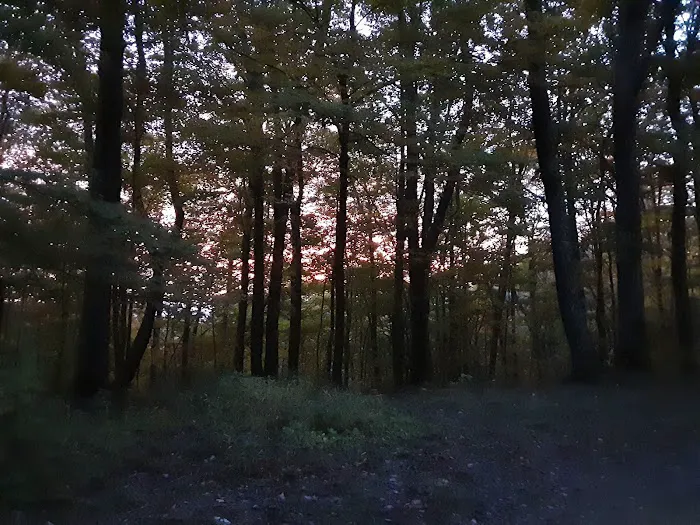 Abingdon Gap Shelter, Appalachian Trail Picture 5