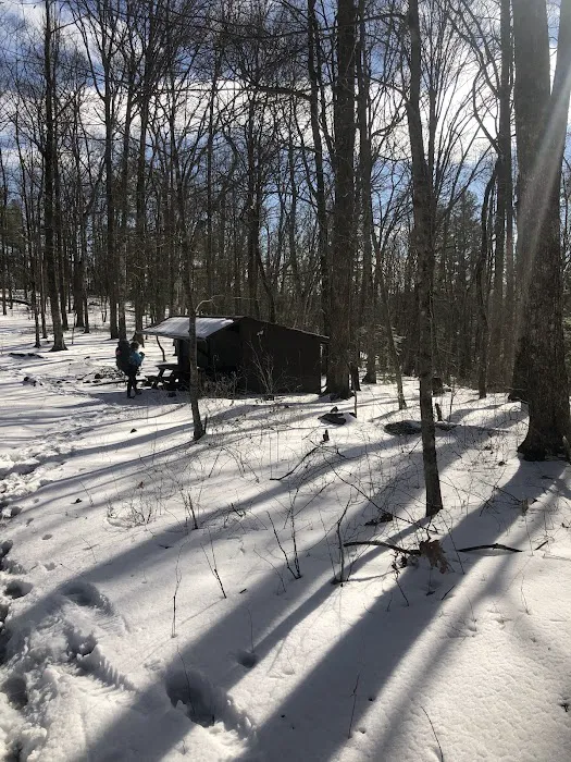 Abingdon Gap Shelter, Appalachian Trail Picture 7