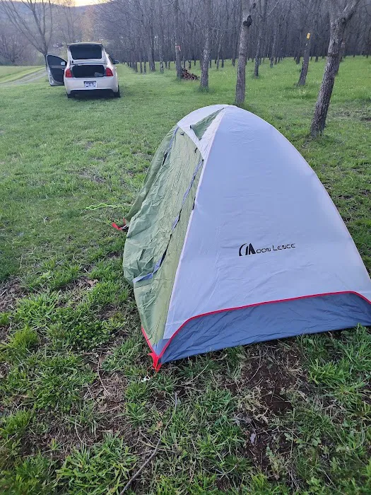 TriMountainView Campground Picture 6