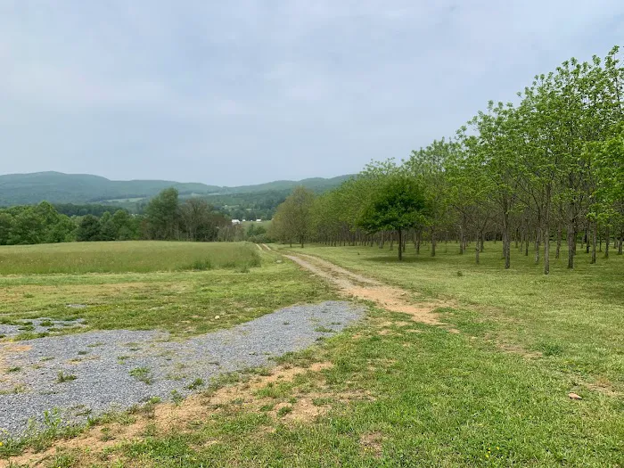 TriMountainView Campground Picture 2