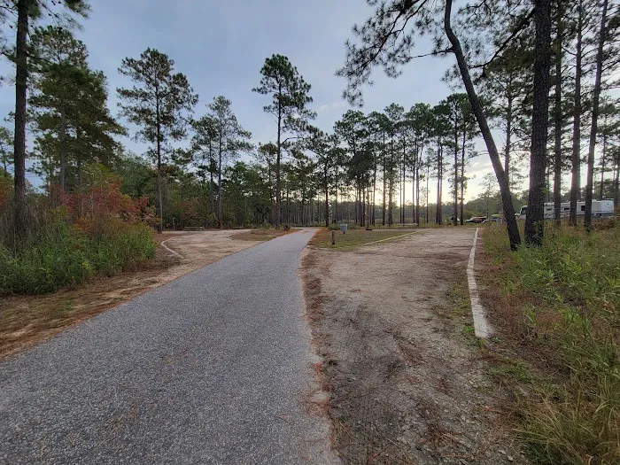 Jones Lake State Park Campground Picture 3
