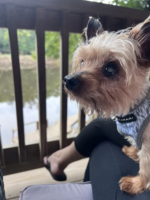 Rivahgetaway Picture 9