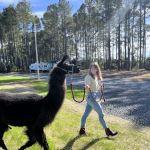 In The Pines RV & Cabin Village