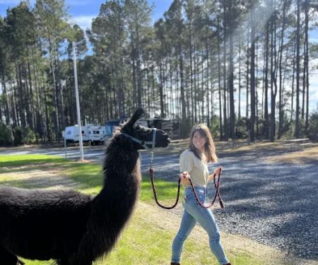 In The Pines RV & Cabin Village