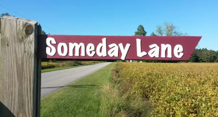Someday Lane Picture 7