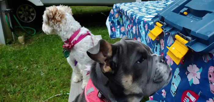 K C Campgrounds Picture 1