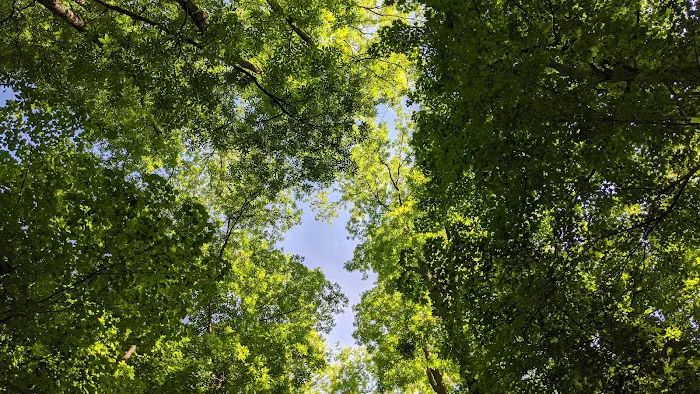 Adventure Bound Camping Resorts - Green Valley Picture 5