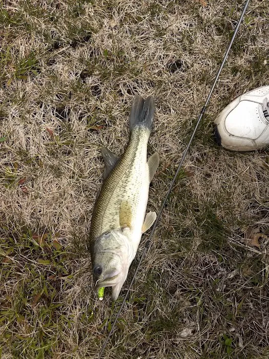 Sauder Village Campground Picture 10