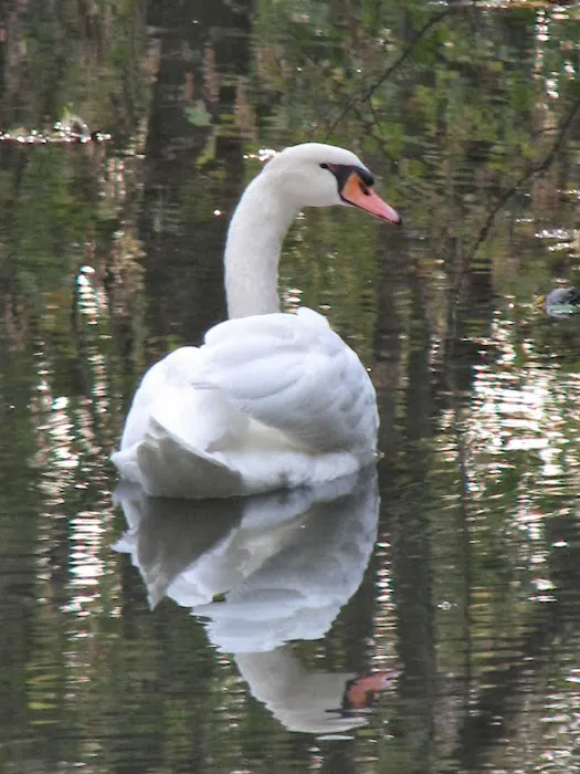 Hidden Valley Campground Picture 8