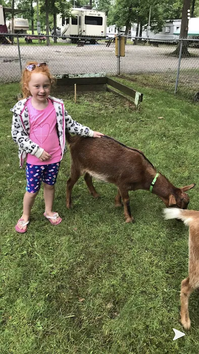 Powell Creek Campground Picture 10