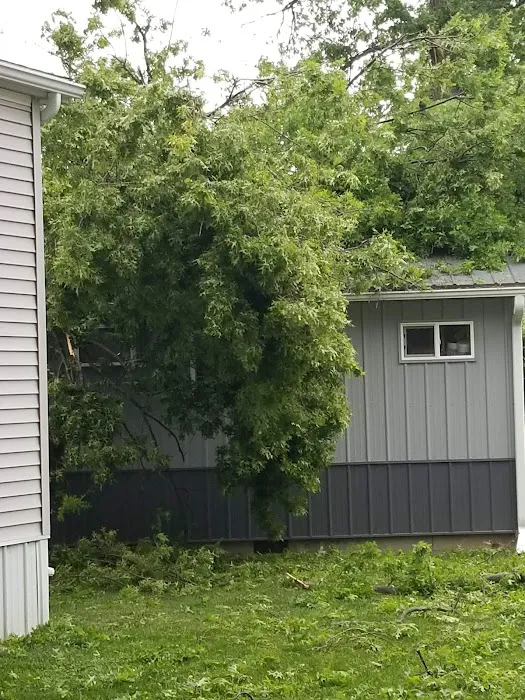 Timberwoods Camping Resort Picture 4