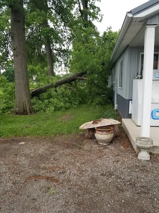 Timberwoods Camping Resort Picture 8